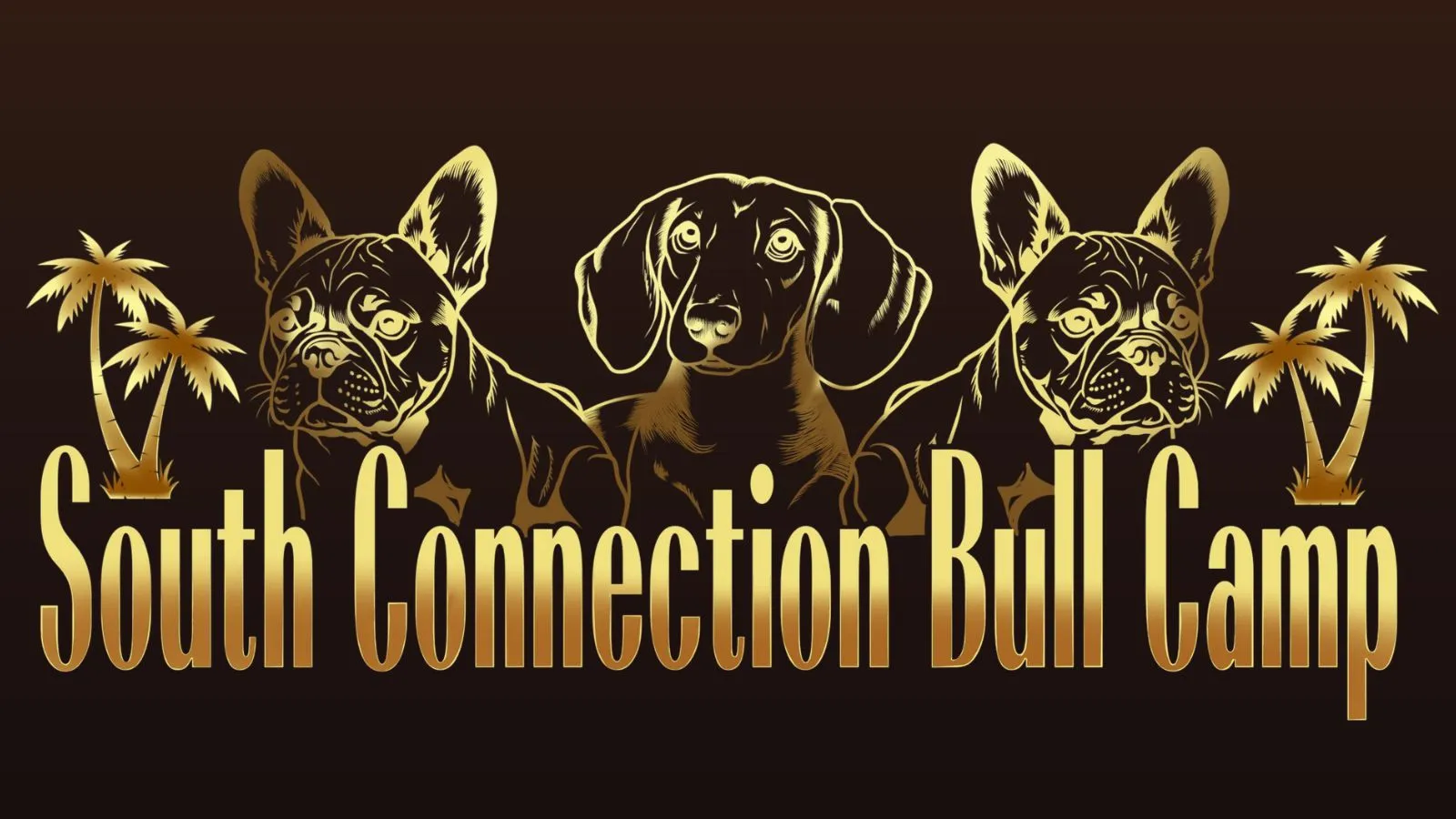 SCBC Dogs élevage de chiens bouledogue français et Teckel