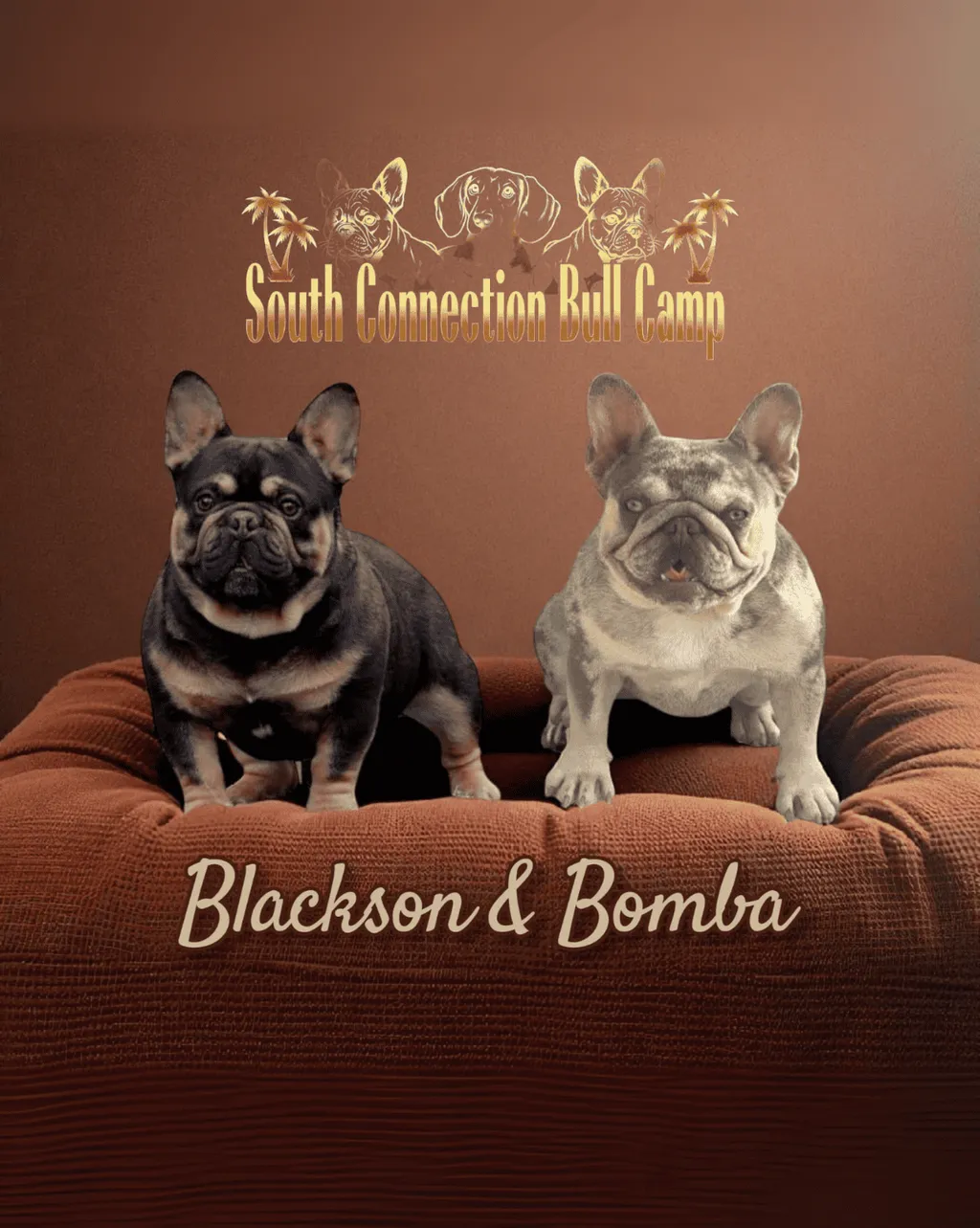 Mariage entre Blackson et Bomba