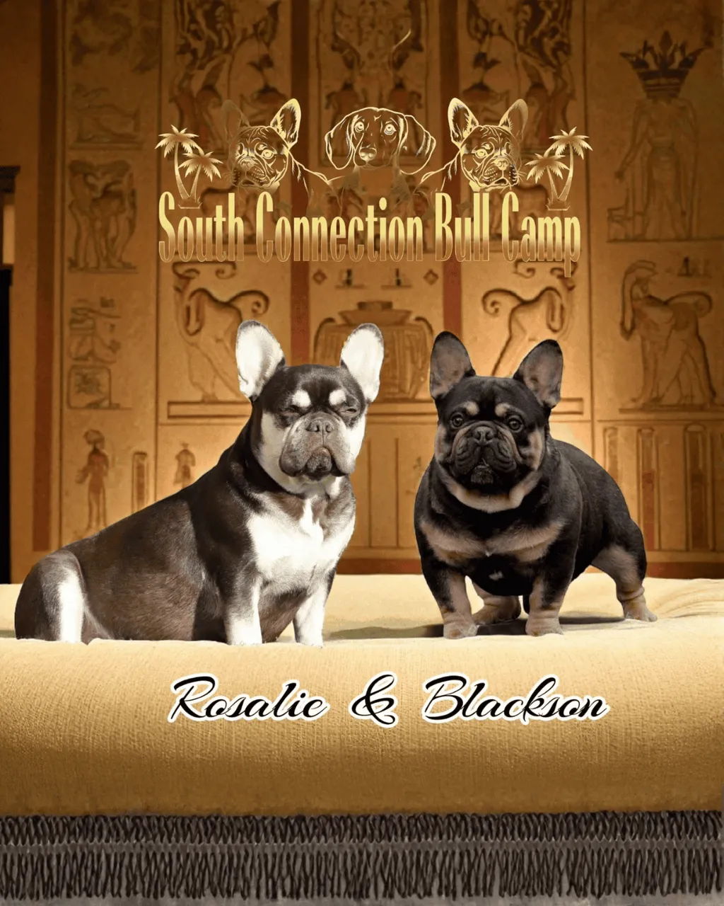 Mariage entre Blackson et Rosalie